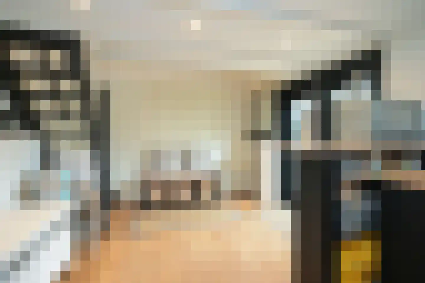 Schout bij Nacht Doormanlaan 25 Wassenaar thumbnail 54