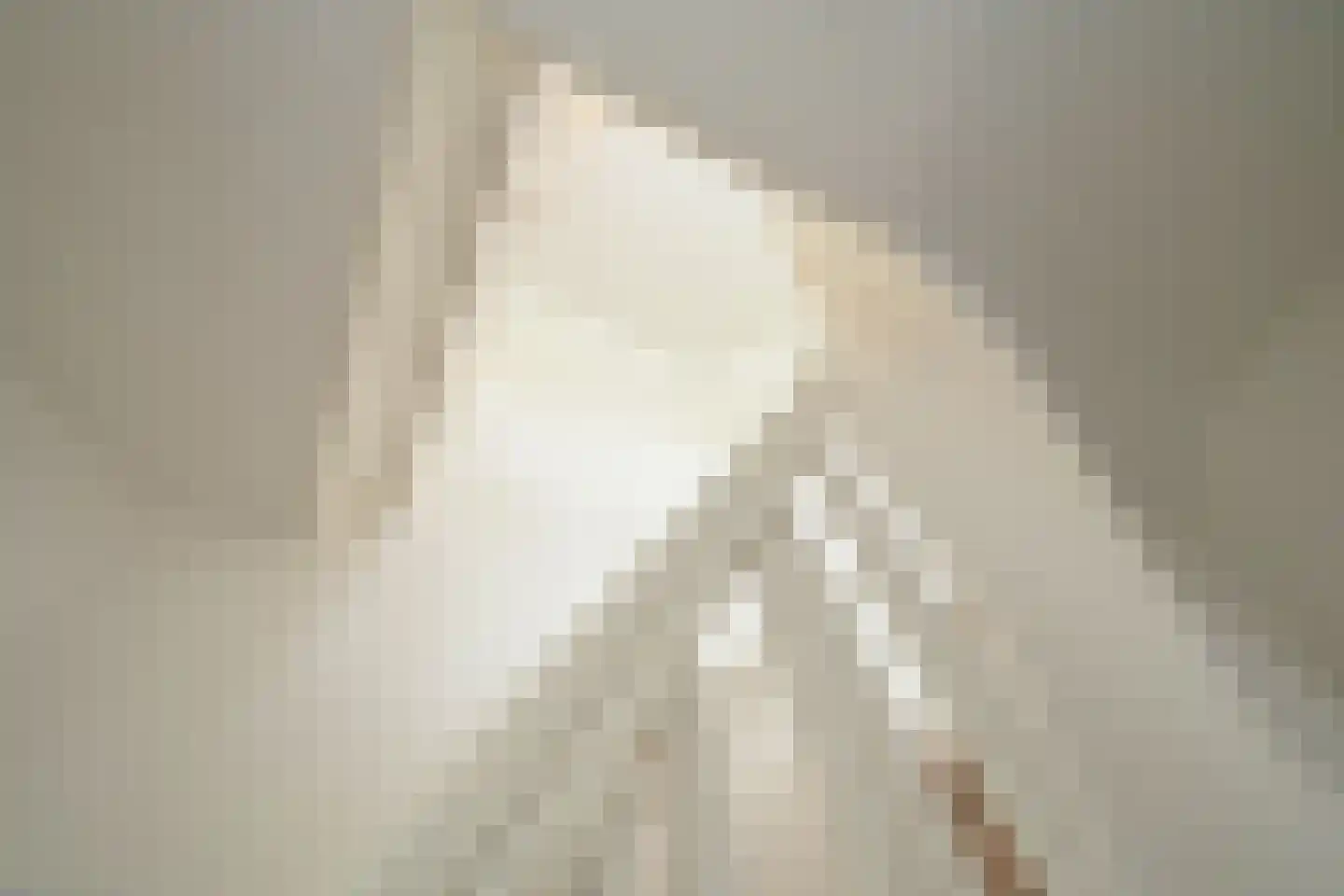 Schout bij Nacht Doormanlaan 25 Wassenaar thumbnail 57