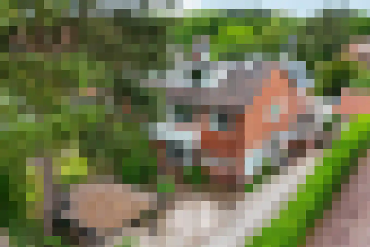 Schout bij Nacht Doormanlaan 25 Wassenaar thumbnail 6