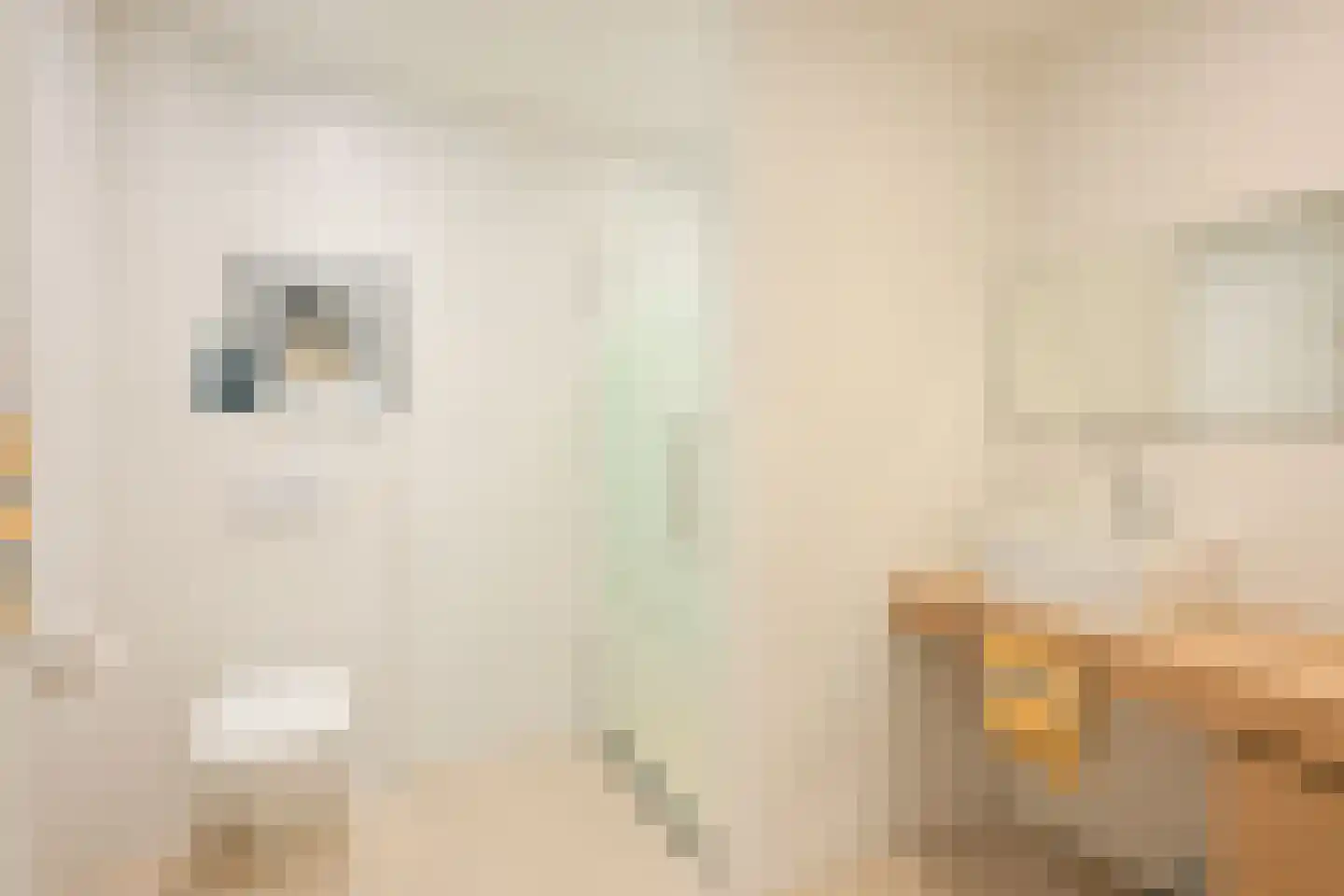 Schout bij Nacht Doormanlaan 25 Wassenaar thumbnail 66