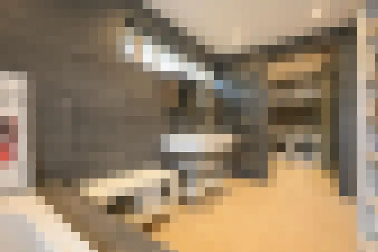 Schout bij Nacht Doormanlaan 25 Wassenaar thumbnail 72