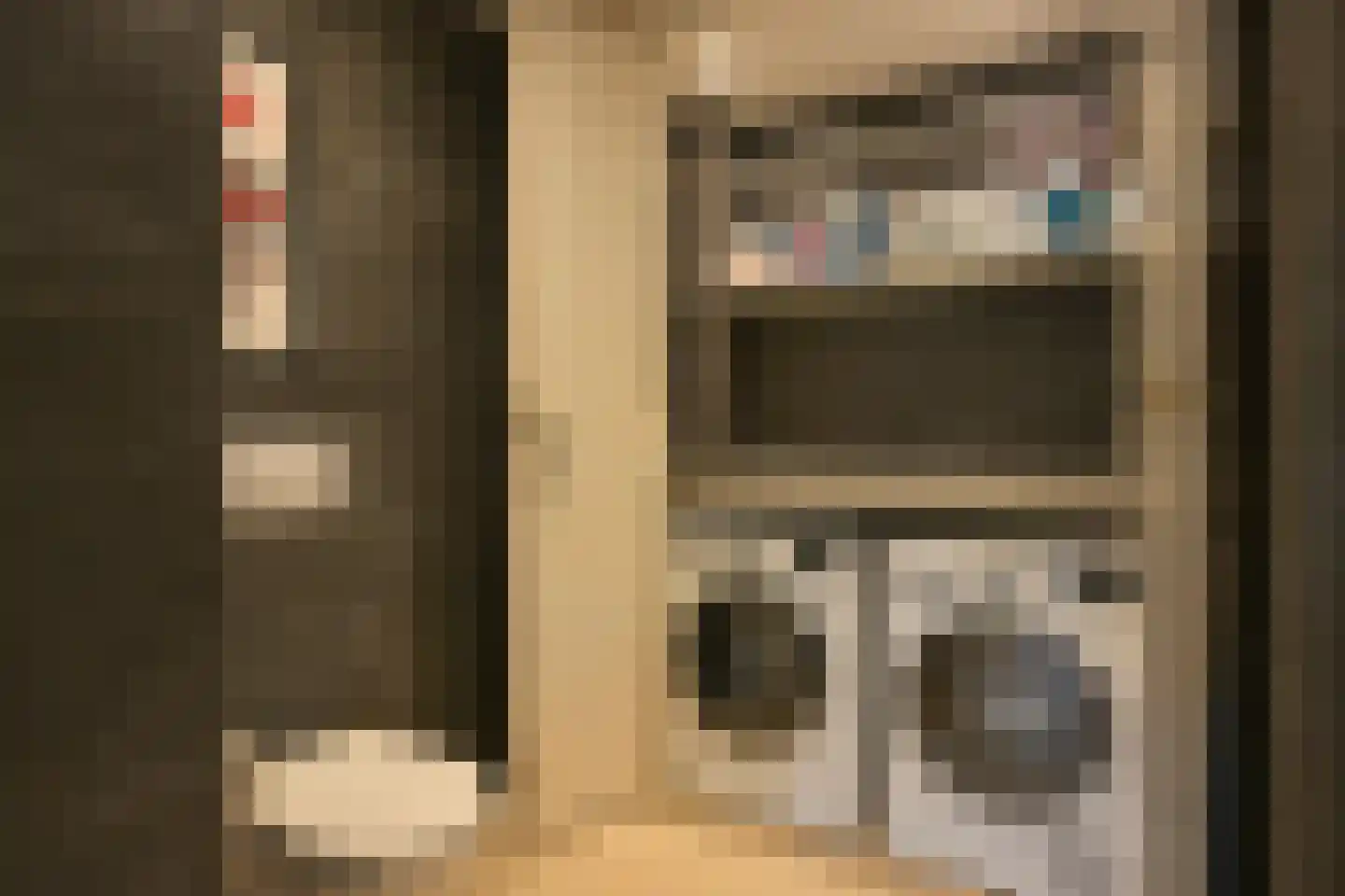 Schout bij Nacht Doormanlaan 25 Wassenaar thumbnail 74