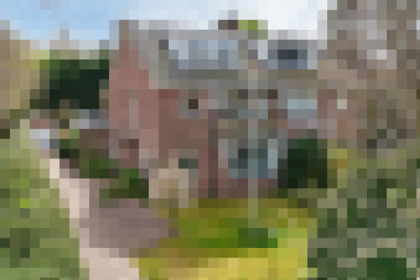 Schout bij Nacht Doormanlaan 48 in Wassenaar