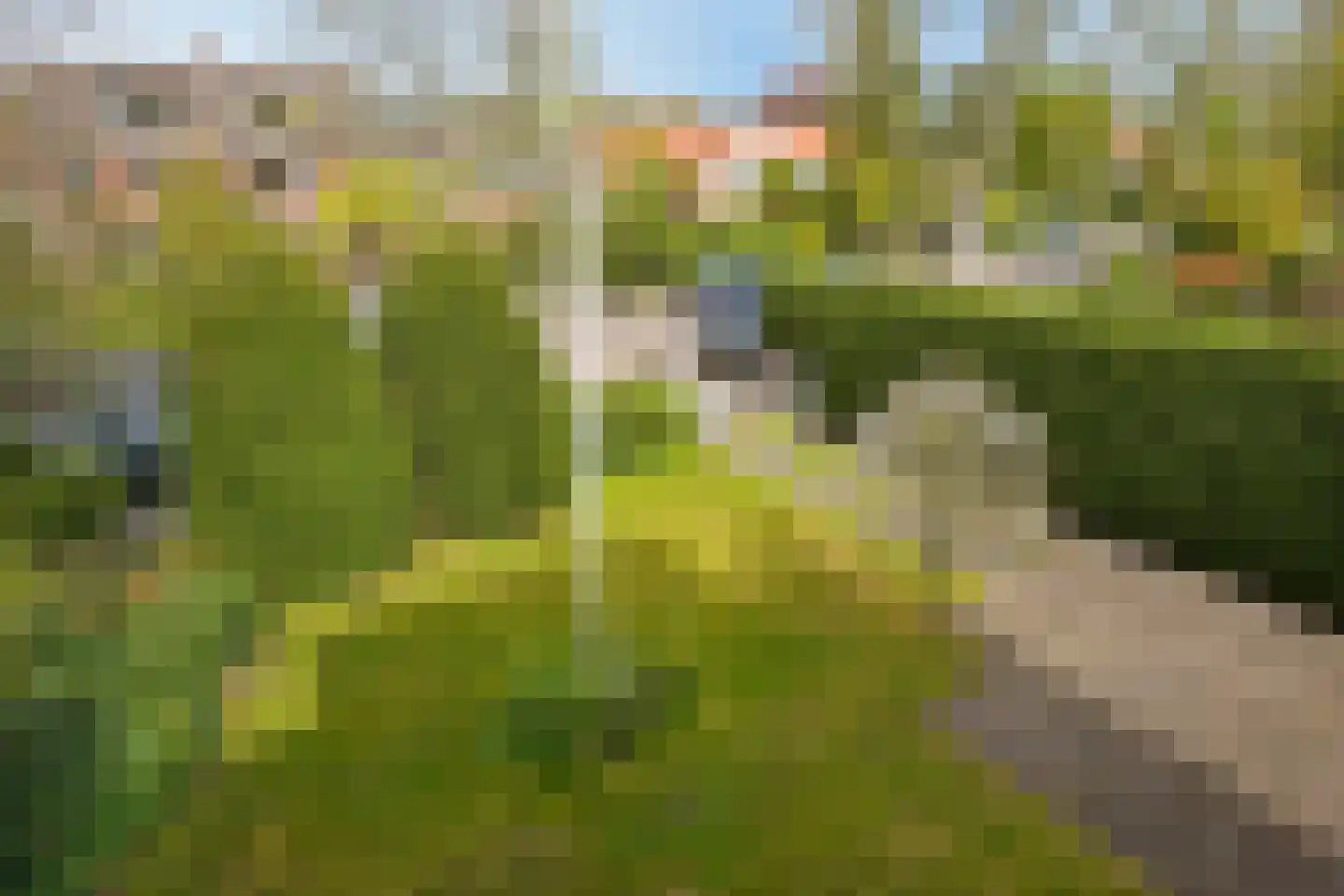 Schout bij Nacht Doormanlaan 48 Wassenaar thumbnail 18