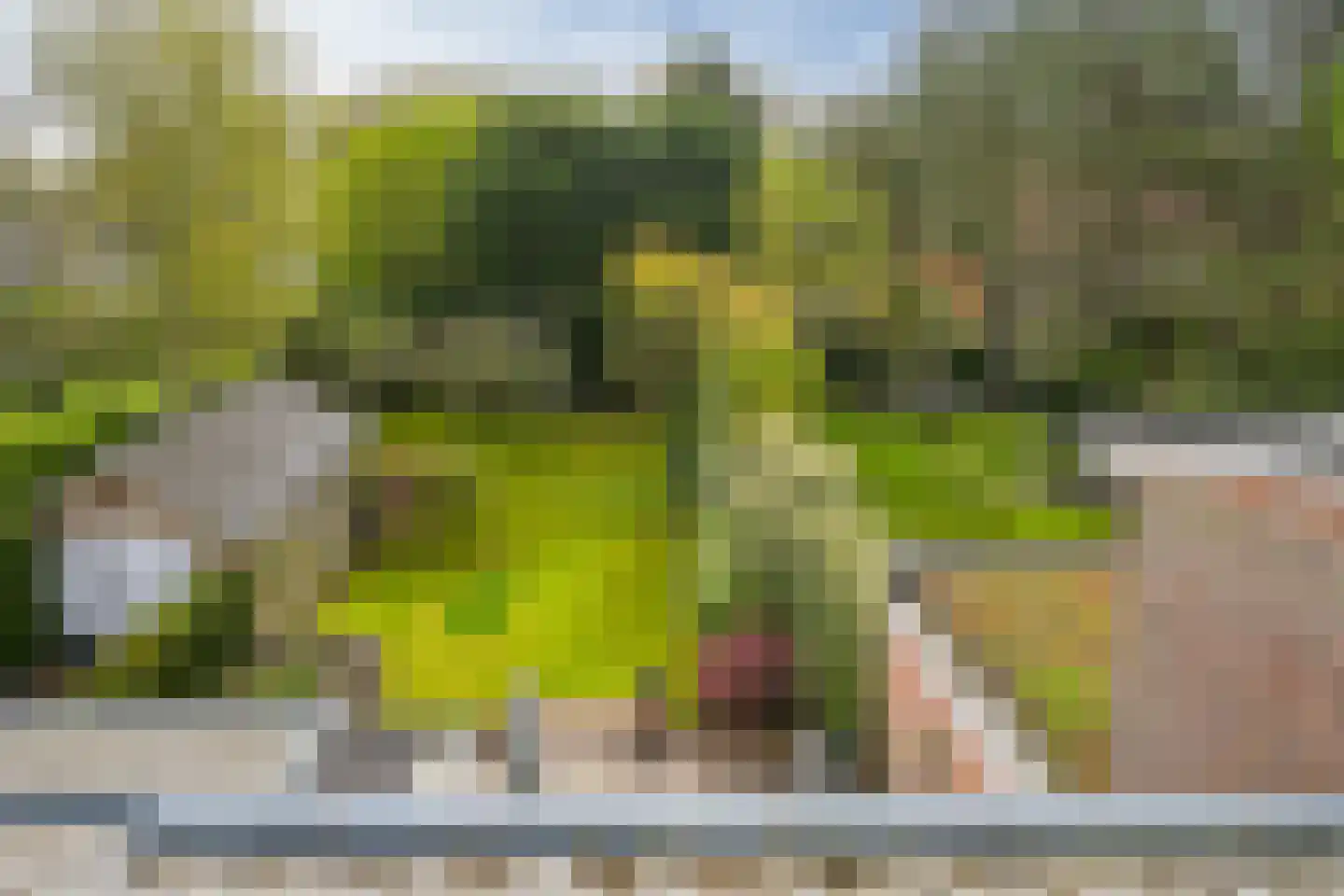 Schout bij Nacht Doormanlaan 48 Wassenaar thumbnail 25