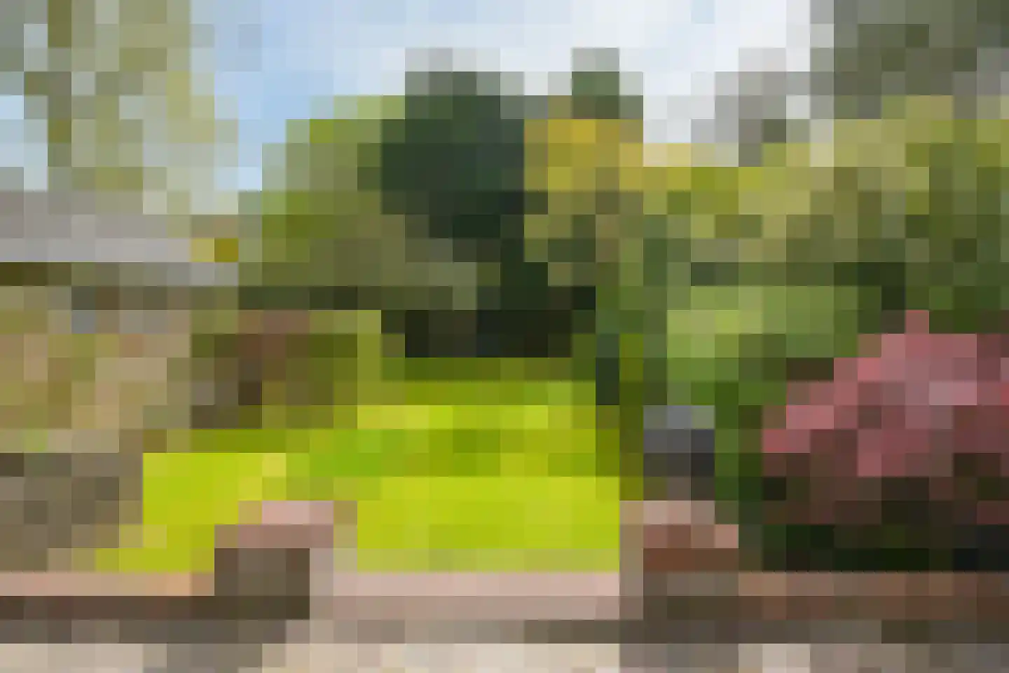 Schout bij Nacht Doormanlaan 48 Wassenaar thumbnail 29