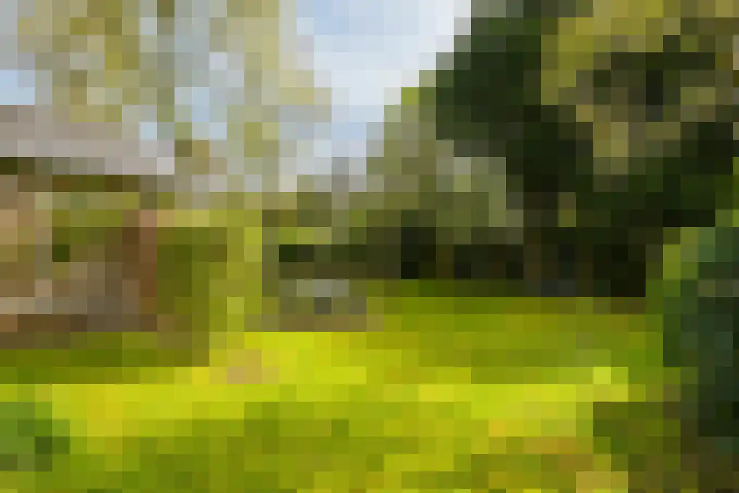 Schout bij Nacht Doormanlaan 48 Wassenaar thumbnail 30