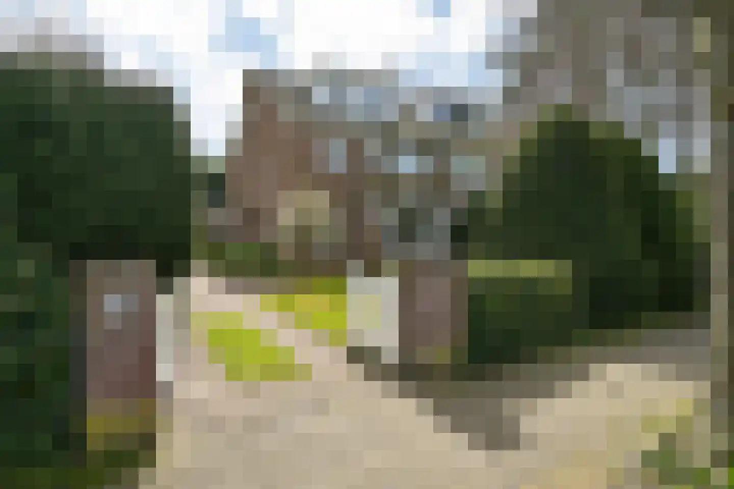 Schout bij Nacht Doormanlaan 48 Wassenaar thumbnail 4