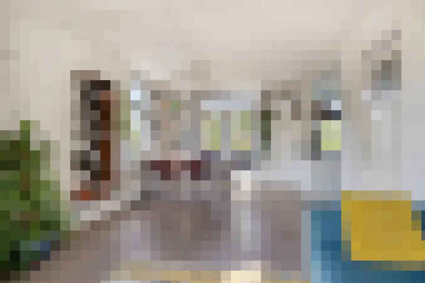 Schout bij Nacht Doormansingel 12 Doesburg thumbnail 16