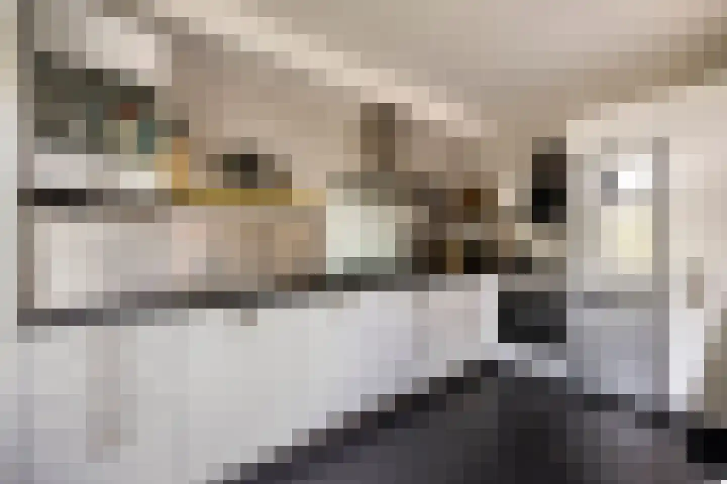 Schout bij Nacht Doormansingel 12 Doesburg thumbnail 21
