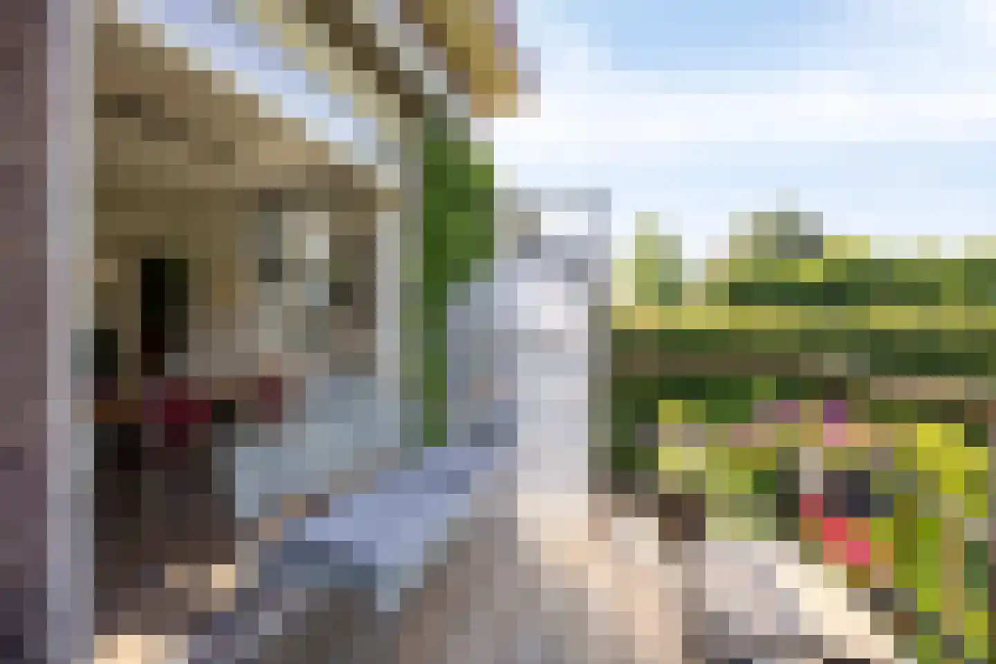 Schout bij Nacht Doormansingel 12 Doesburg thumbnail 24