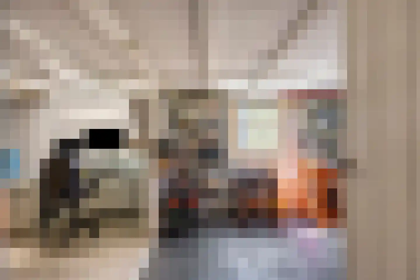Schout bij Nacht Doormansingel 12 Doesburg thumbnail 40