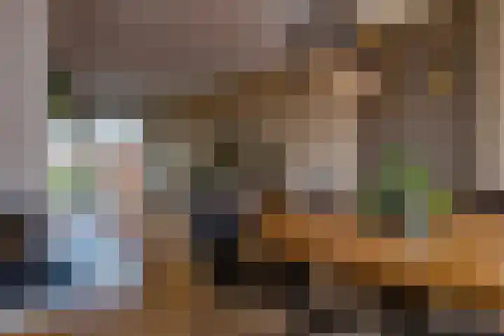 Schout Boutenstraat 25 Buchten thumbnail 10