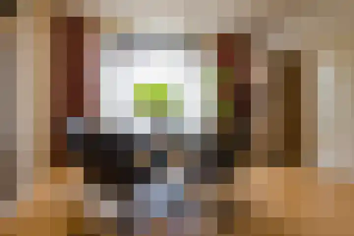 Schout Boutenstraat 25 Buchten thumbnail 11