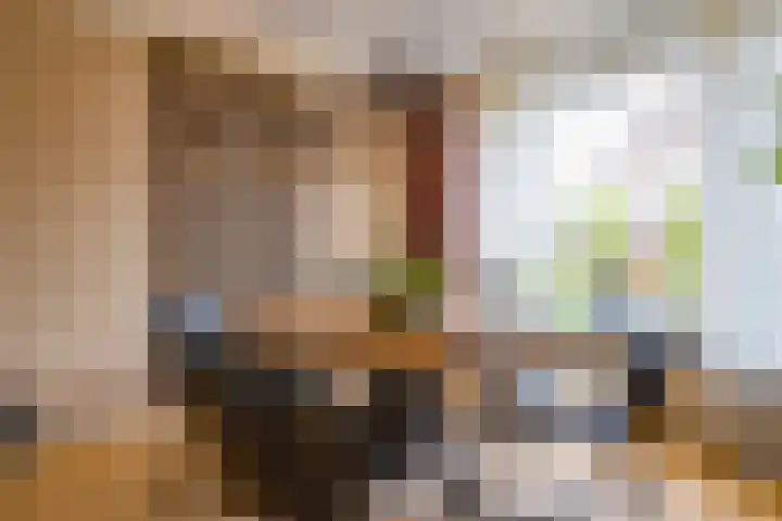 Schout Boutenstraat 25 Buchten thumbnail 12