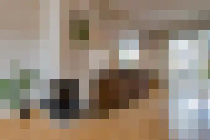 Schout Boutenstraat 25 Buchten thumbnail 13