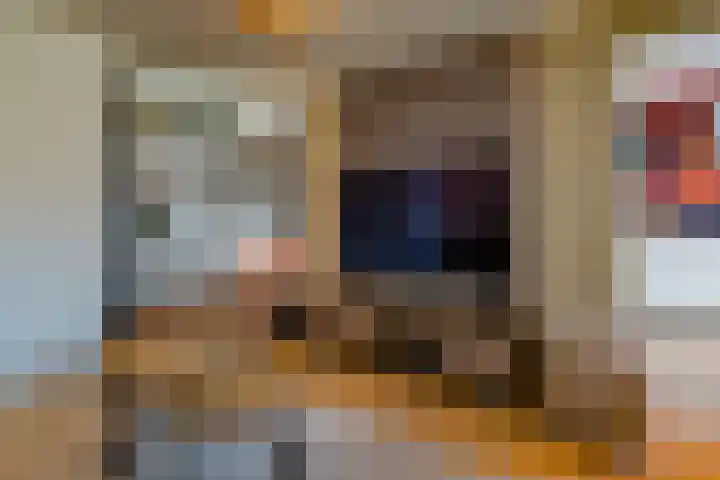 Schout Boutenstraat 25 Buchten thumbnail 14