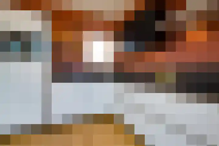 Schout Boutenstraat 25 Buchten thumbnail 16