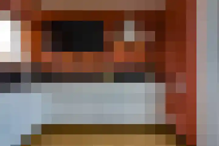 Schout Boutenstraat 25 Buchten thumbnail 17