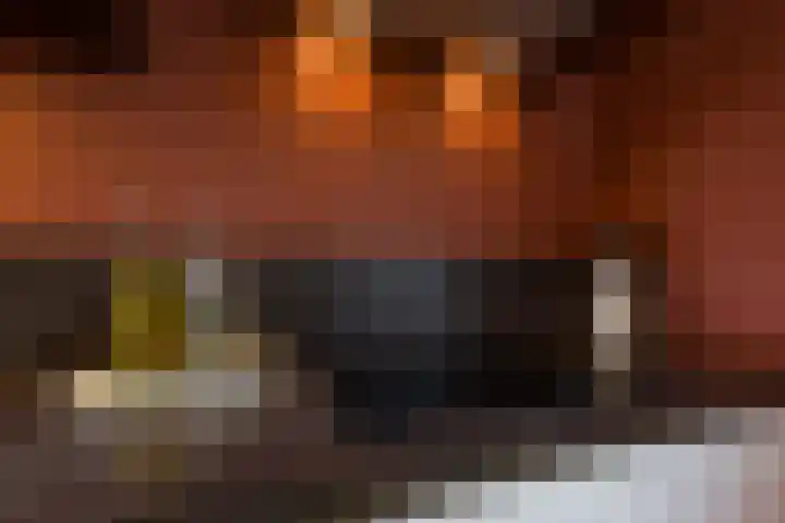 Schout Boutenstraat 25 Buchten thumbnail 18
