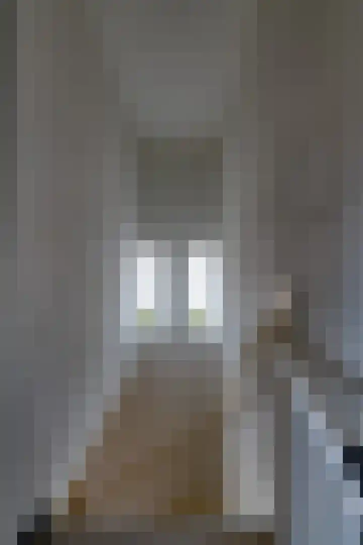 Schout Boutenstraat 25 Buchten thumbnail 19