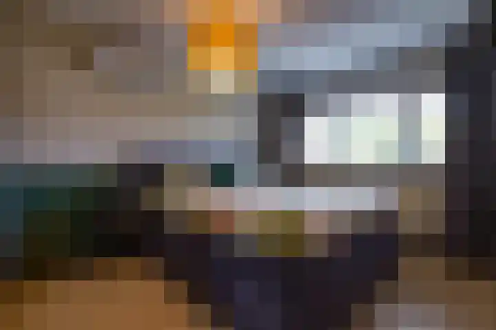 Schout Boutenstraat 25 Buchten thumbnail 24
