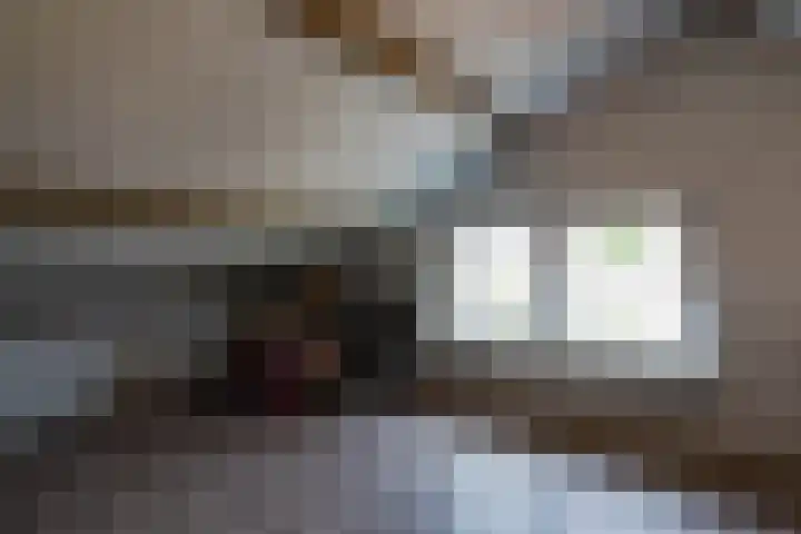 Schout Boutenstraat 25 Buchten thumbnail 32
