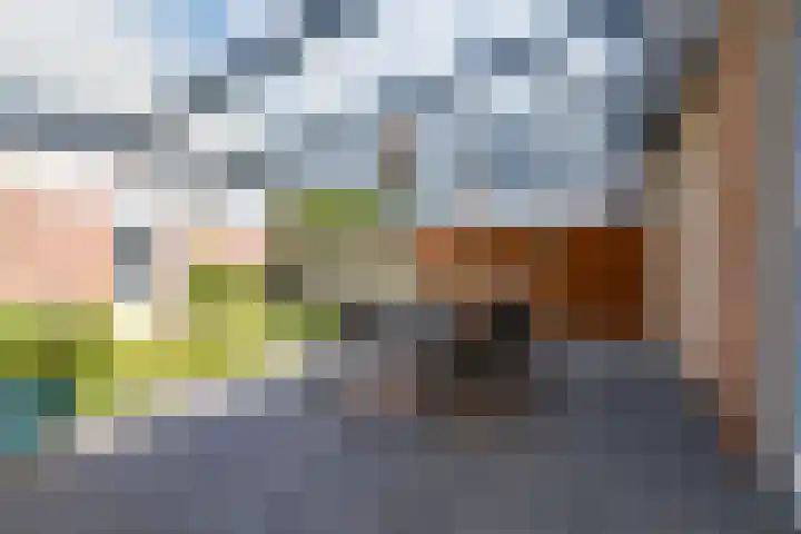 Schout Boutenstraat 25 Buchten thumbnail 34