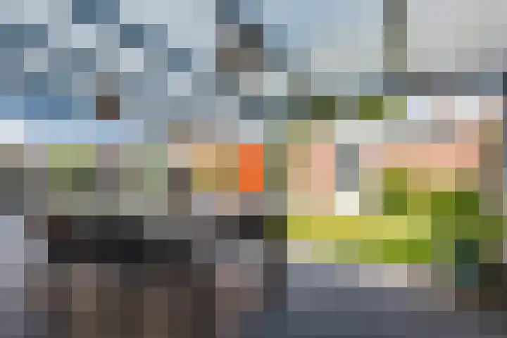 Schout Boutenstraat 25 Buchten thumbnail 37