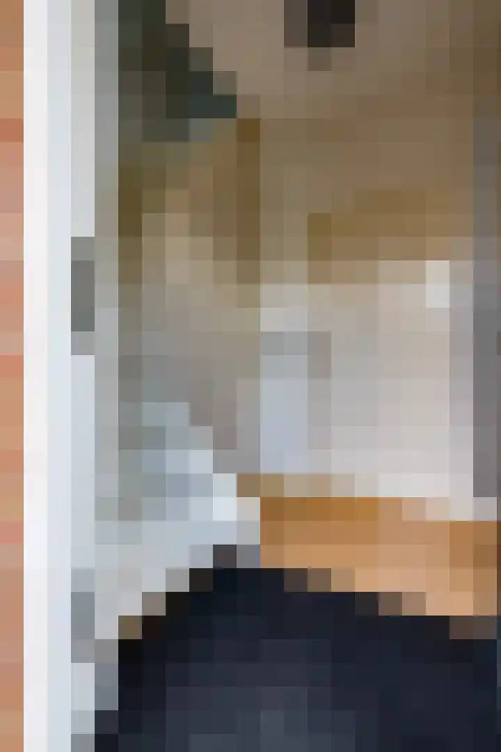 Schout Boutenstraat 25 Buchten thumbnail 7