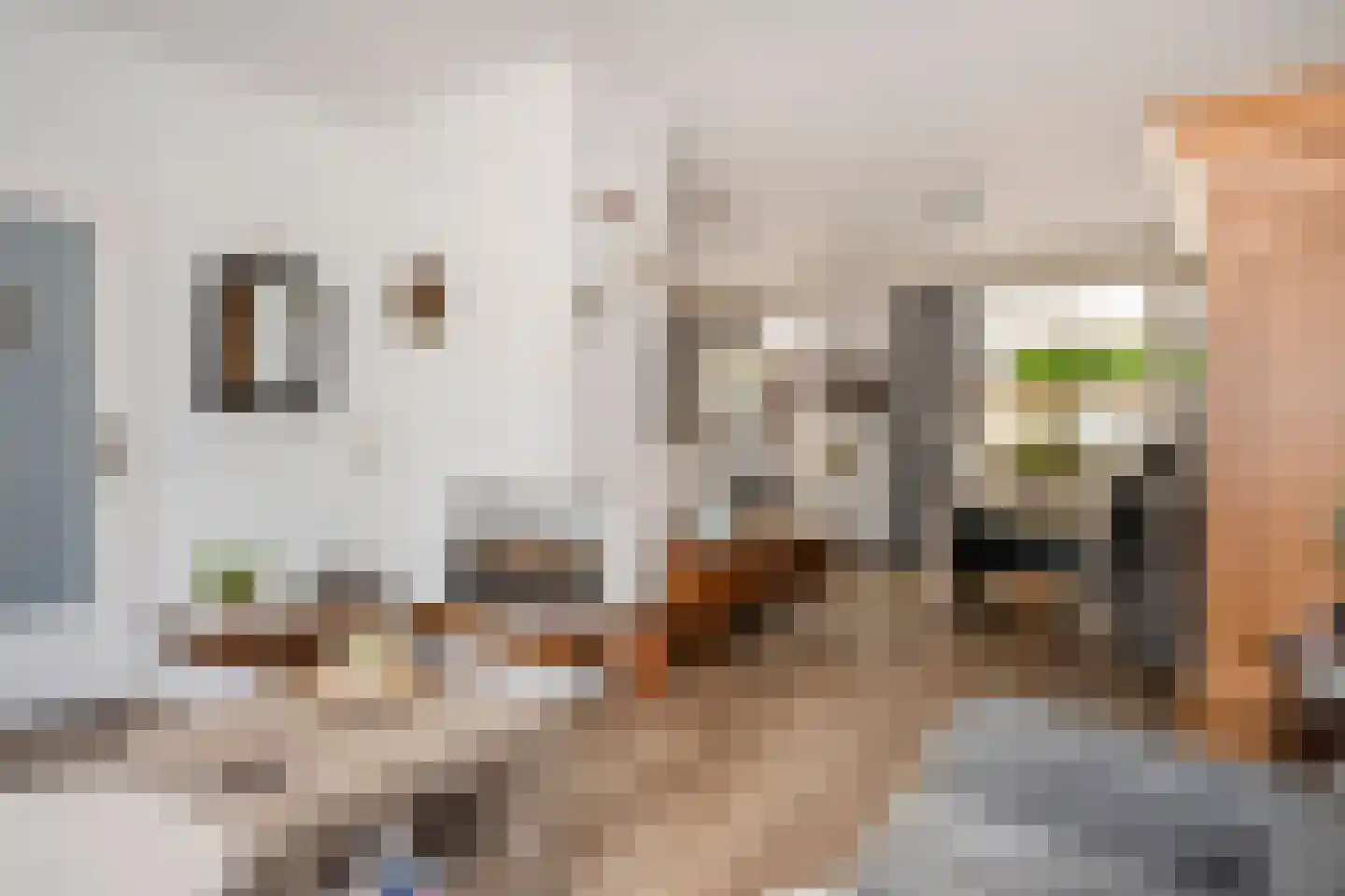 Schout Boutenstraat 41 Buchten thumbnail 10