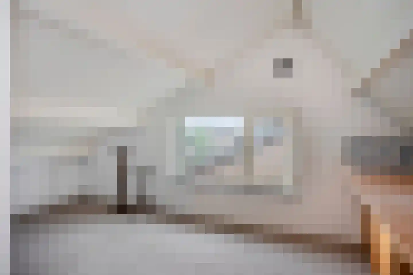 Schout Boutenstraat 41 Buchten thumbnail 26