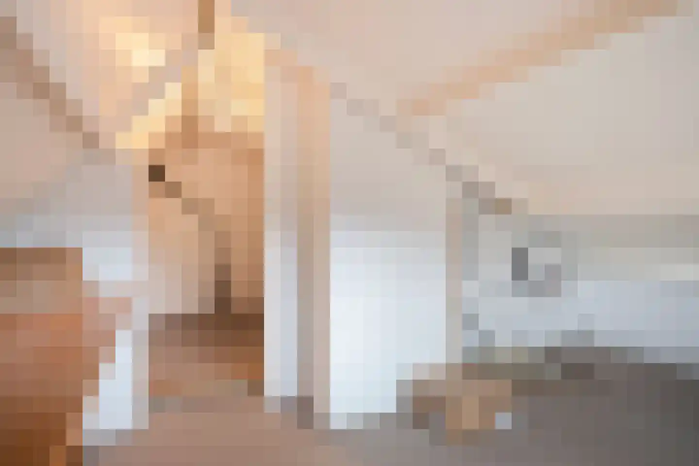 Schout Boutenstraat 41 Buchten thumbnail 27