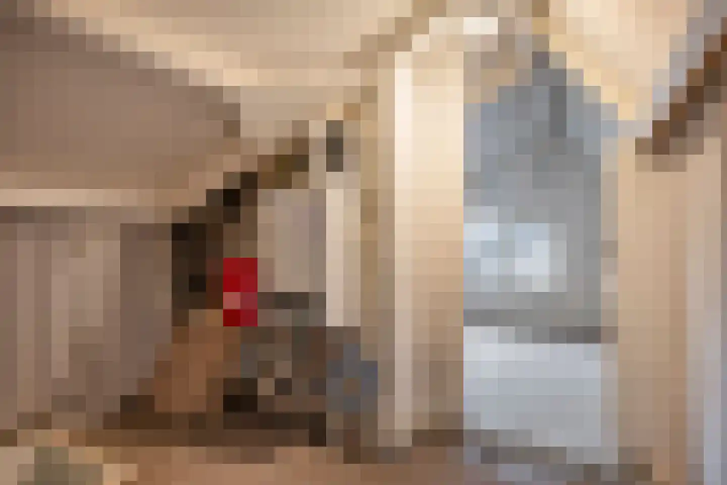 Schout Boutenstraat 41 Buchten thumbnail 28