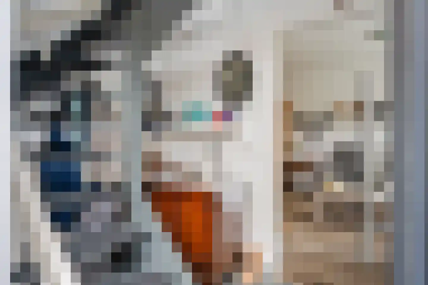 Schout Boutenstraat 41 Buchten thumbnail 5