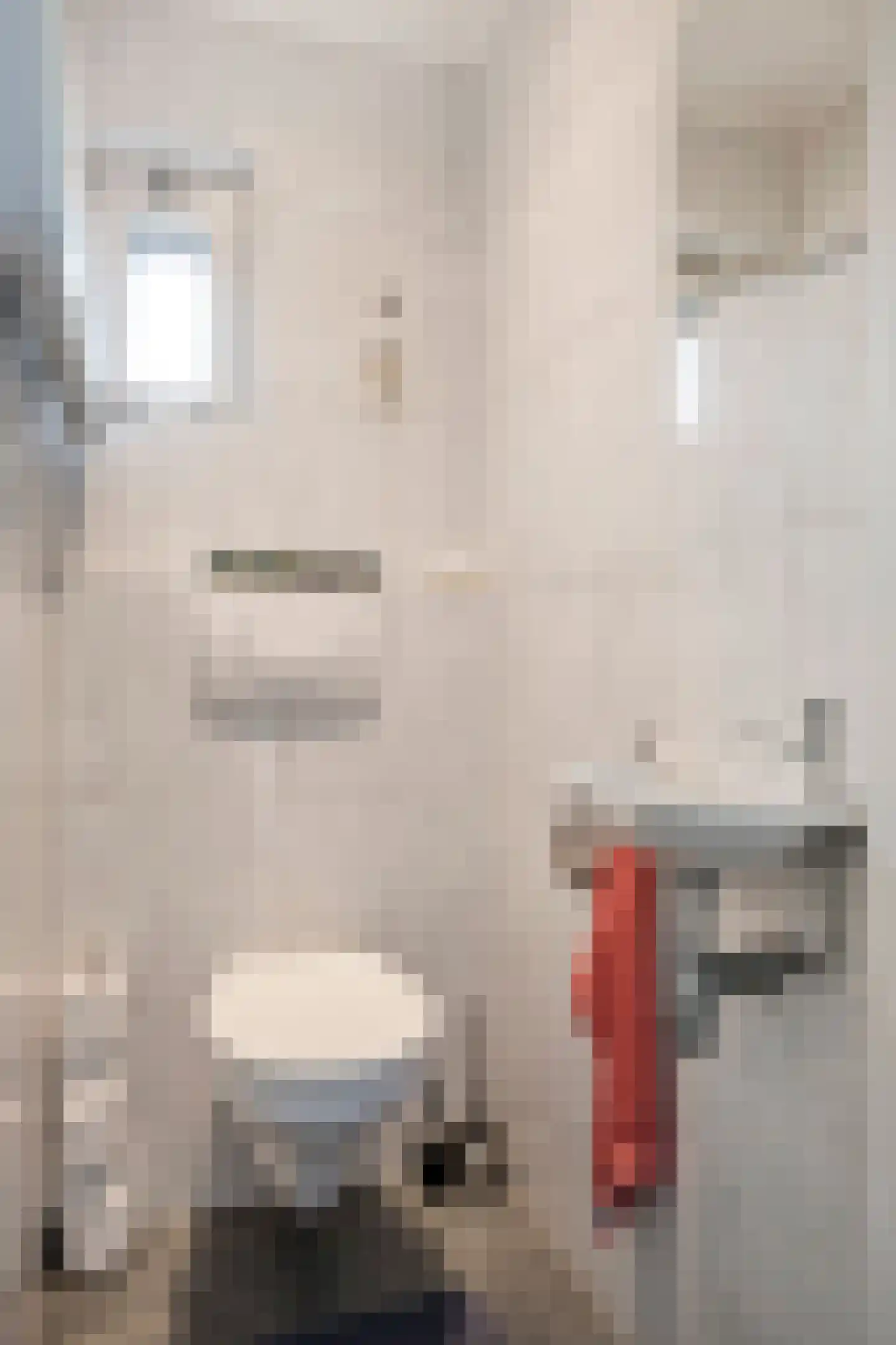 Schout Boutenstraat 41 Buchten thumbnail 6
