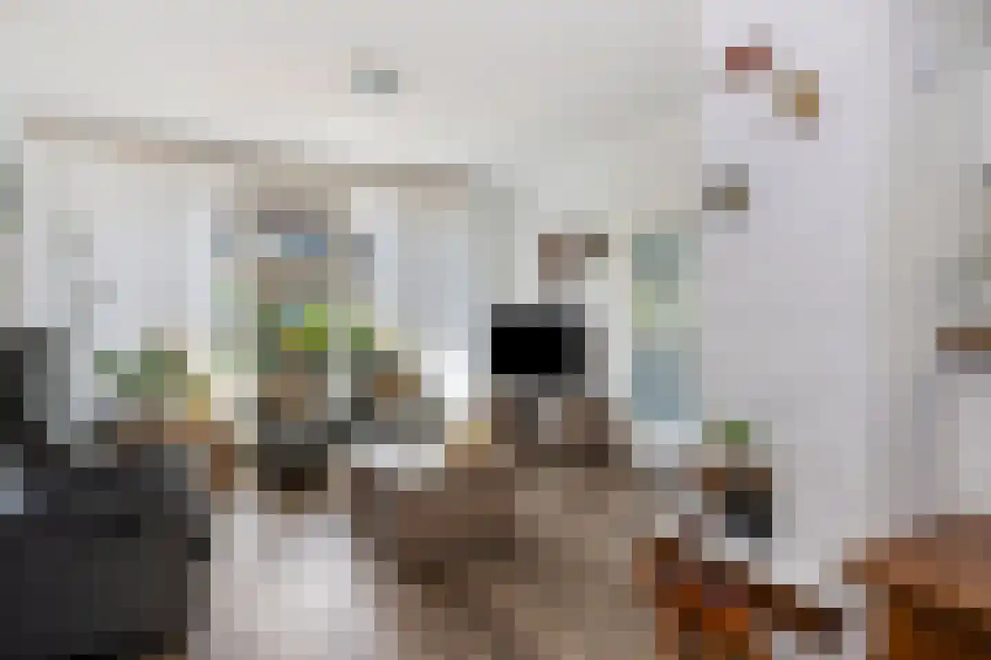 Schout Boutenstraat 41 Buchten thumbnail 7