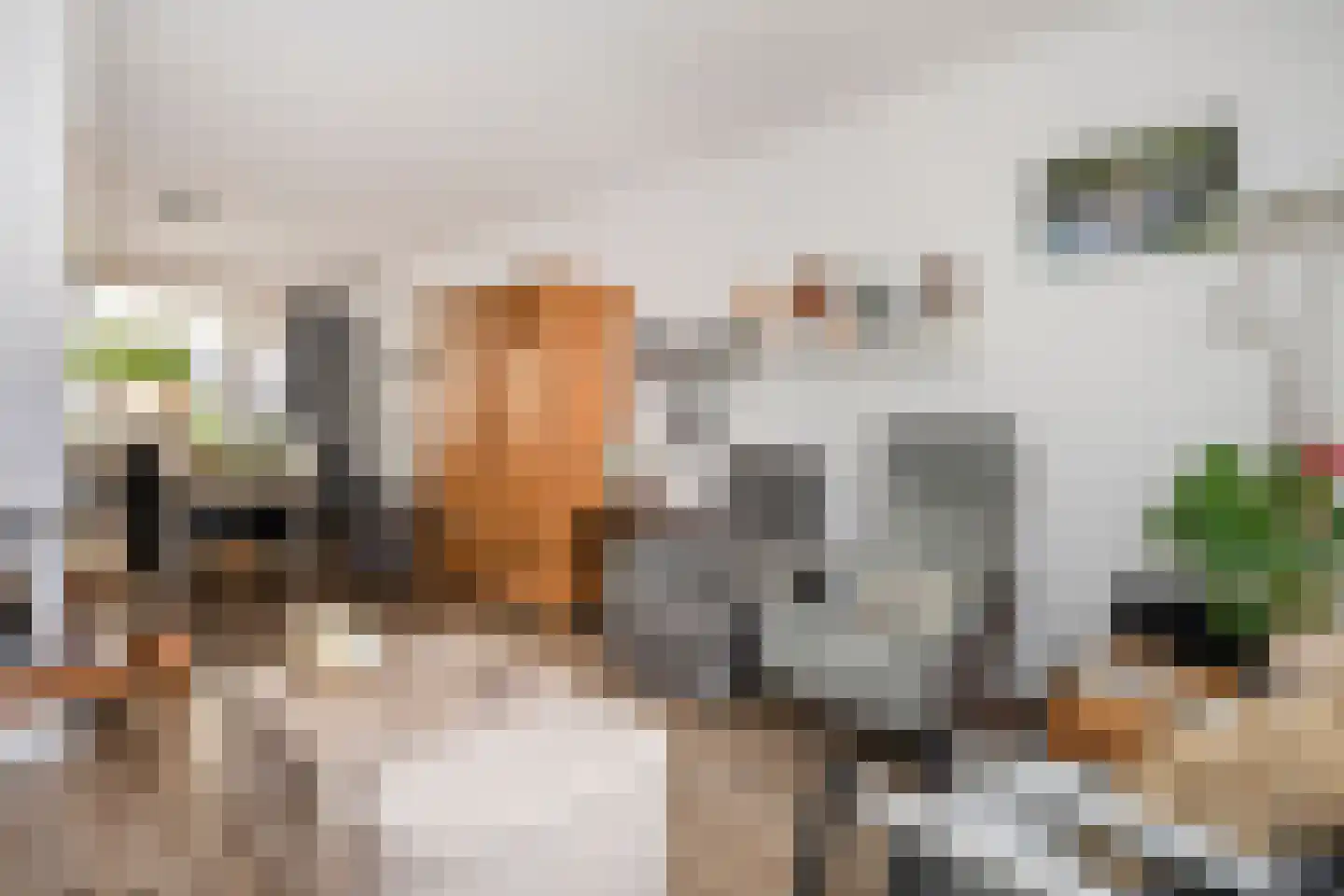 Schout Boutenstraat 41 Buchten thumbnail 9