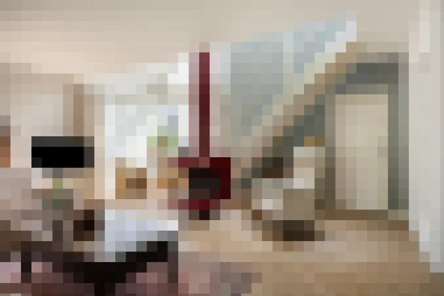 Schout Coomansstraat 7 Oisterwijk thumbnail 14