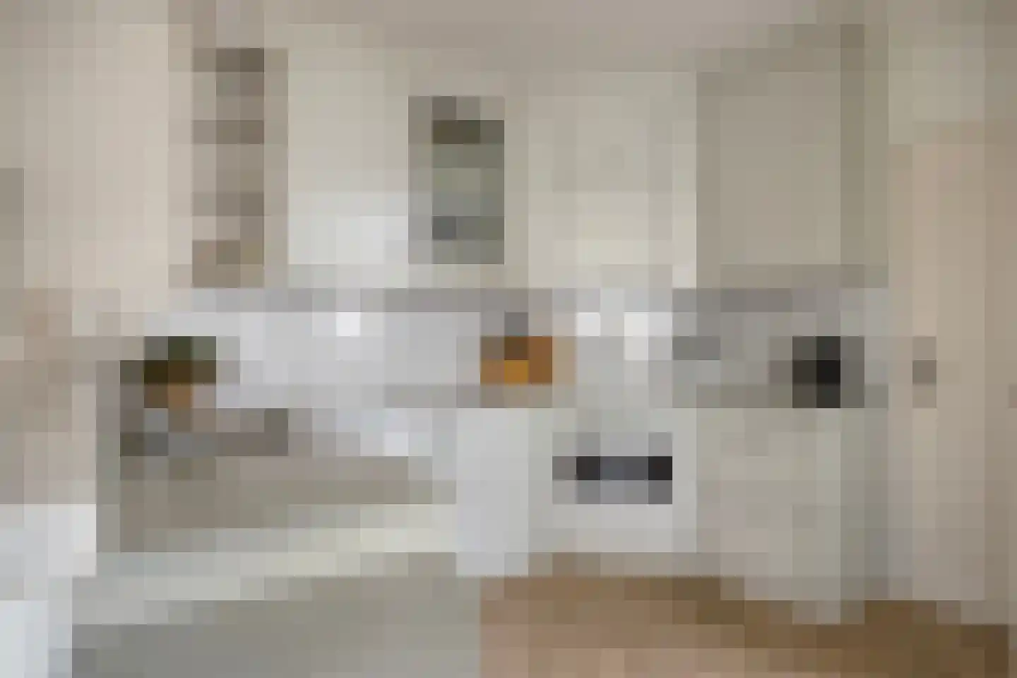 Schout Coomansstraat 7 Oisterwijk thumbnail 20