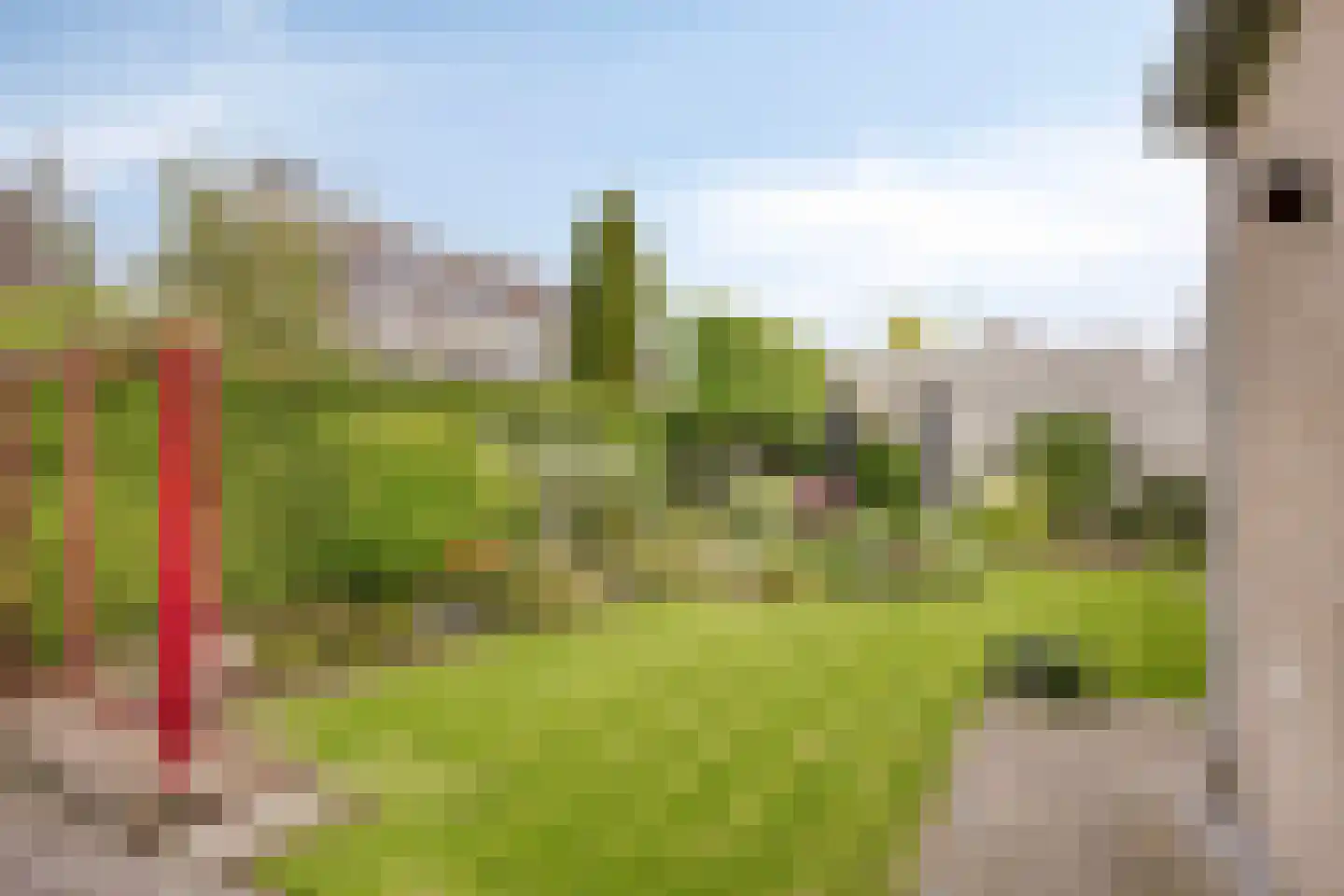 Schout Coomansstraat 7 Oisterwijk thumbnail 56