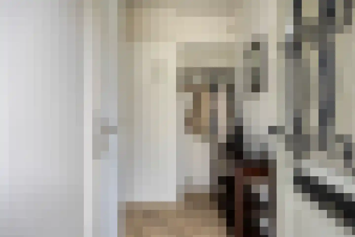 Schout Coomansstraat 7 Oisterwijk thumbnail 6