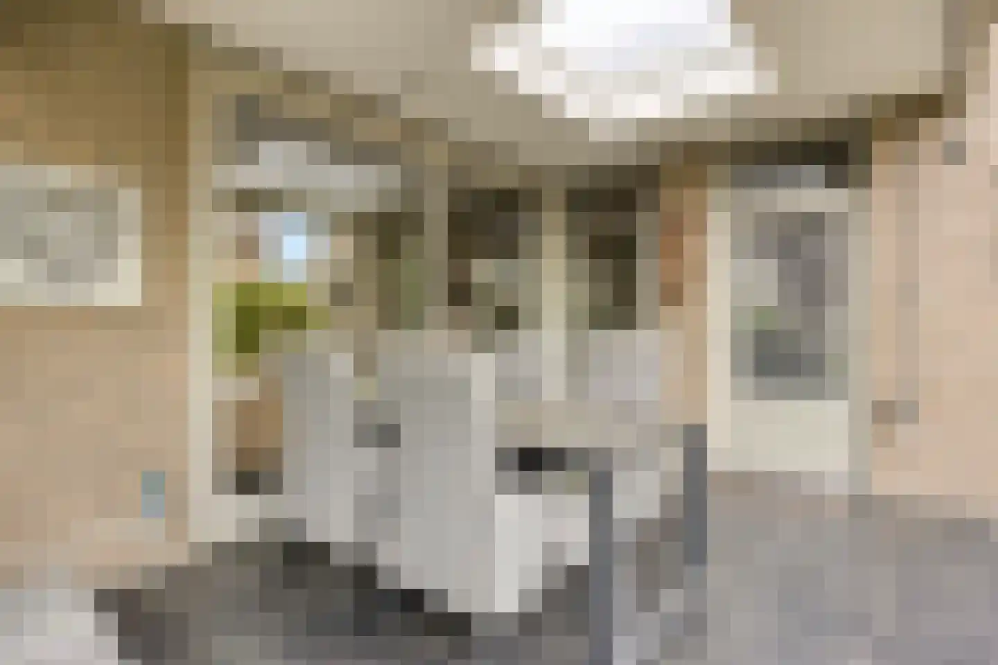 Schout Coomansstraat 7 Oisterwijk thumbnail 63