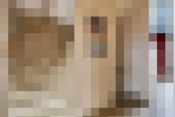 Schout Coxstraat 1 Gemert thumbnail 15