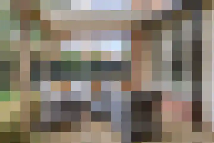 Schout Coxstraat 1 Gemert thumbnail 17