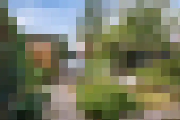 Schout Coxstraat 1 Gemert thumbnail 18