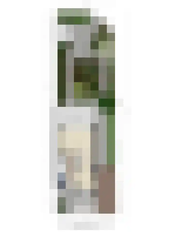 Schout Coxstraat 1 Gemert thumbnail 23