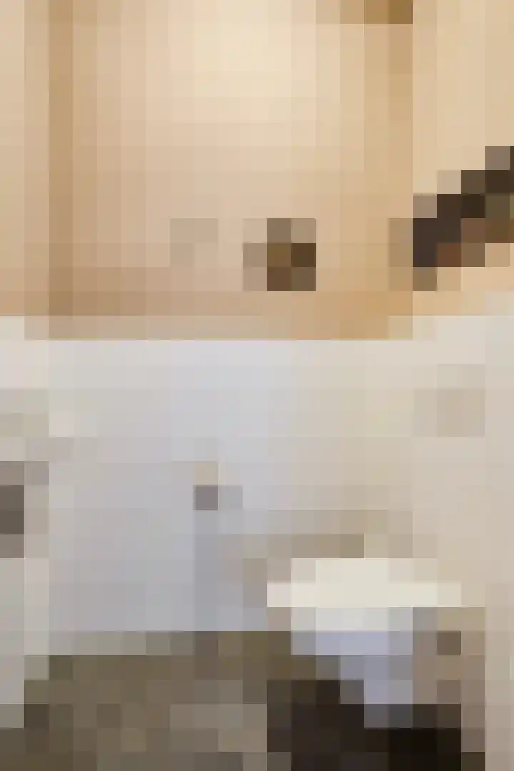 Schout Coxstraat 1 Gemert thumbnail 4