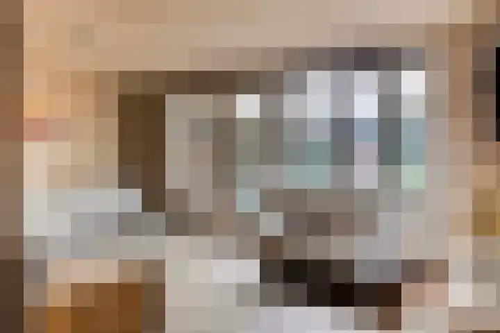 Schout Coxstraat 1 Gemert thumbnail 5