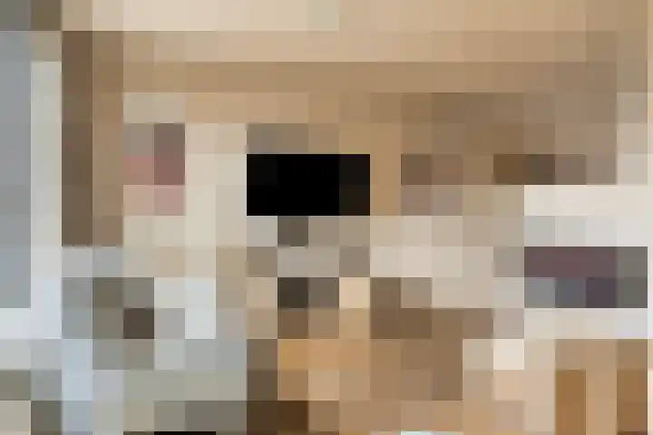 Schout Coxstraat 1 Gemert thumbnail 6